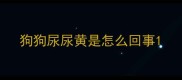 狗狗尿尿黄是怎么回事