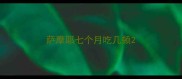 萨摩耶七个月吃几顿
