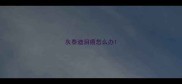 灰泰迪泪痕怎么办
