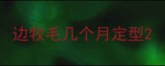 边牧毛几个月定型