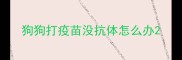 狗狗打疫苗没抗体怎么办