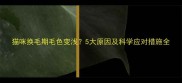 猫咪换毛期毛色变浅5大原因及科学应对措施全