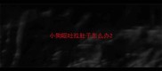 小狗呕吐拉肚子怎么办