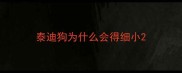 泰迪狗为什么会得细小