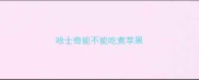 哈士奇能不能吃煮苹果