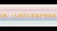 狗狗粪便带白色黏膜5大病因与家庭护理指南附症状鉴别