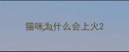 猫咪为什么会上火
