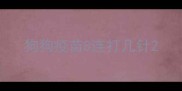 狗狗疫苗8连打几针