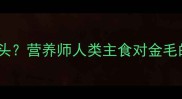 拉布拉多犬能不能吃馒头营养师人类主食对金毛的利弊与科学喂养建议