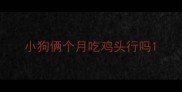 小狗俩个月吃鸡头行吗