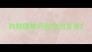 狗狗腰椎间盘突出复发