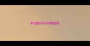 泰迪的舌头有黑色的