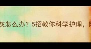 拉布拉多眼白发灰怎么办5招教你科学护理附症状自测表