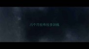 八个月拉布拉多训练