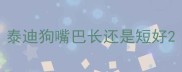 泰迪狗嘴巴长还是短好