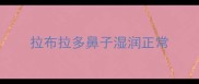 拉布拉多鼻子湿润正常