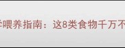 边牧饮食禁忌与科学喂养指南这8类食物千万不能喂附健康食谱