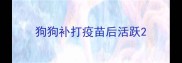 狗狗补打疫苗后活跃