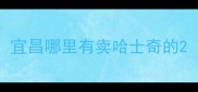 宜昌哪里有卖哈士奇的