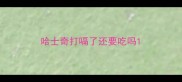 哈士奇打嗝了还要吃吗