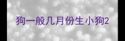 狗一般几月份生小狗