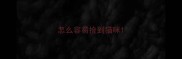 怎么容易捡到猫咪
