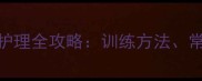 美系拉布拉多尾巴护理全攻略训练方法常见问题与养护技巧