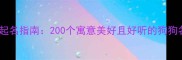 拉布拉多起名指南200个寓意美好且好听的狗狗名字大全