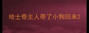 哈士奇主人带了小狗回来