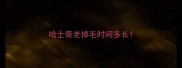 哈士奇老掉毛时间多长