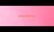 拉布拉多狗吃鸡蛋