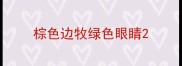 棕色边牧绿色眼睛