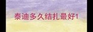 泰迪多久结扎最好