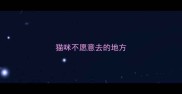 猫咪不愿意去的地方