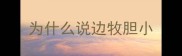 为什么说边牧胆小