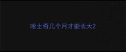 哈士奇几个月才能长大