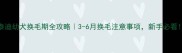 泰迪幼犬换毛期全攻略3-6月换毛注意事项新手必看