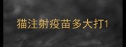 猫注射疫苗多大打