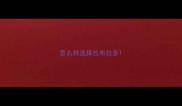 怎么样选择拉布拉多