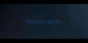 刚出生的小狗空调