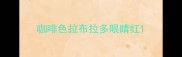 咖啡色拉布拉多眼睛红