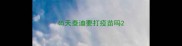 45天泰迪要打疫苗吗