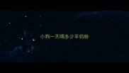小狗一天喝多少羊奶粉