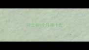 哈士奇5个月喂什么