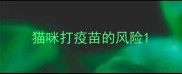 猫咪打疫苗的风险