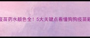梅里亚疫苗药水颜色全5大关键点看懂狗狗疫苗避坑指南