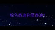棕色泰迪和黑泰迪