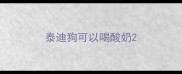 泰迪狗可以喝酸奶
