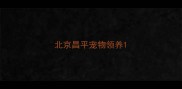 北京昌平宠物领养