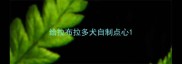 给拉布拉多犬自制点心